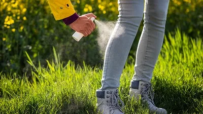 Rovarriasztók és társai 🦟